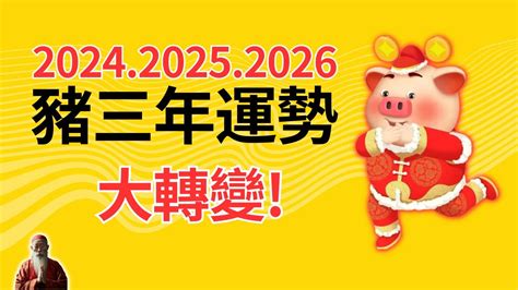 豬 運勢|【2024豬年】生肖豬2024好運滾滾來！屬豬運勢、幸。